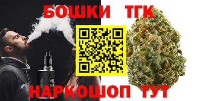 индика Лесосибирск