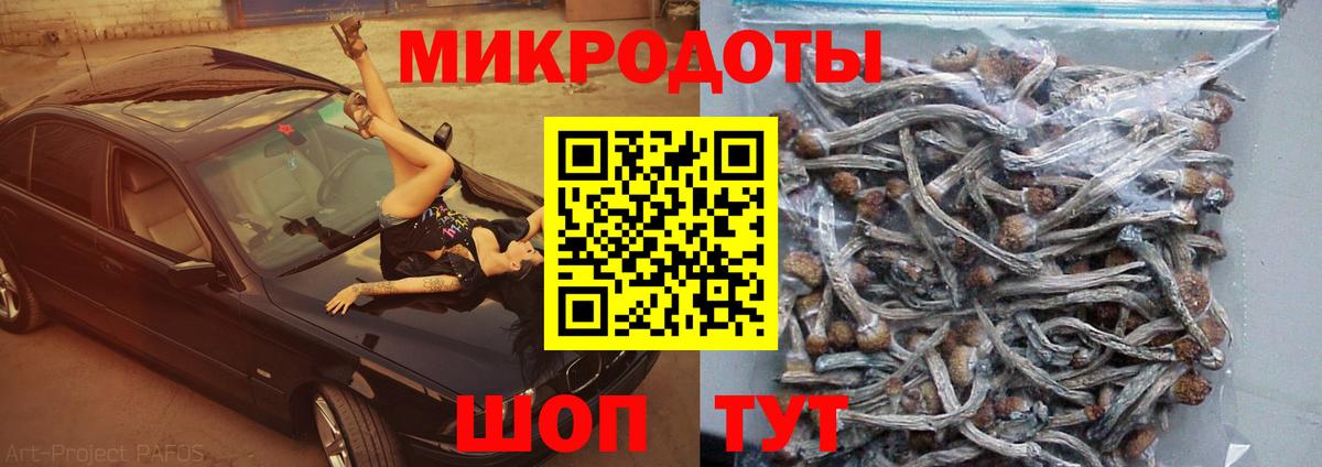 Ишимбай  Псилоцибиновые грибы Cubensis  Вход с VPN  Галлюциногенные грибы Psilocybe 